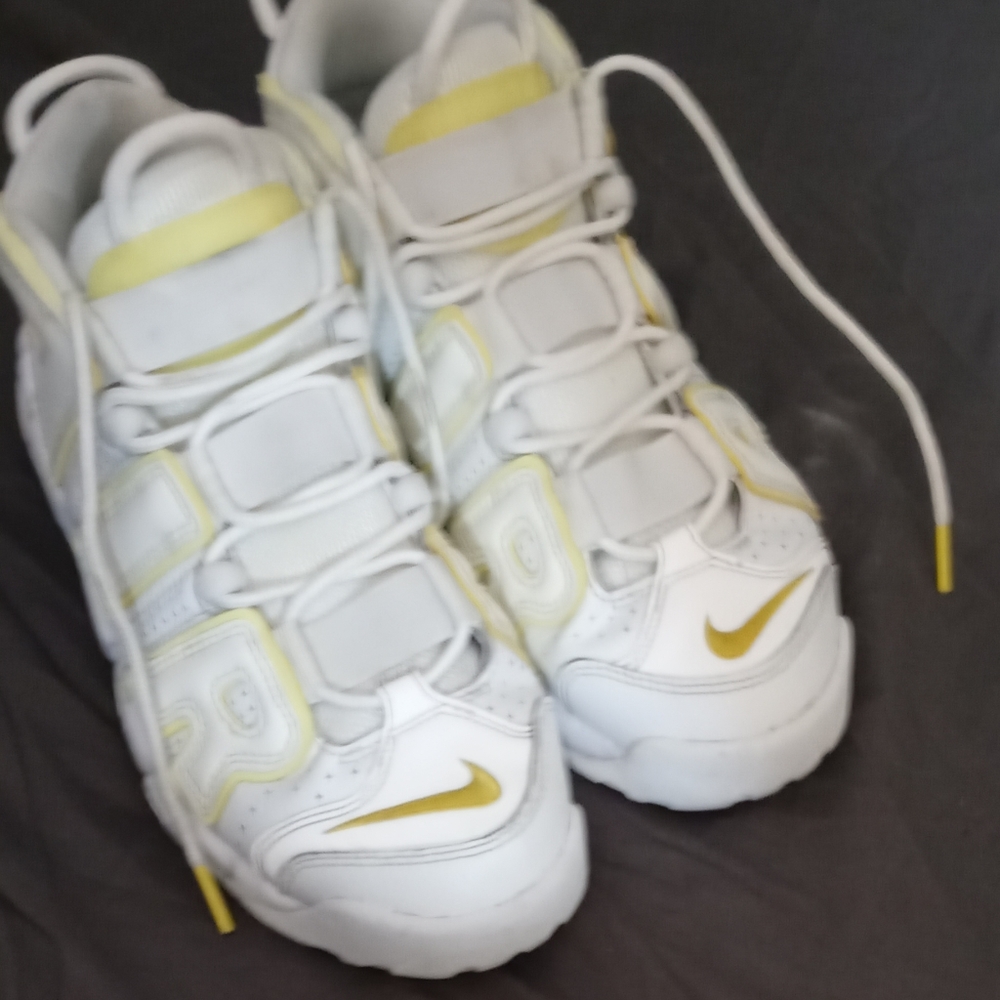 Scottie pippen Nike high top sneakers